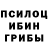 Псилоцибиновые грибы мухоморы Aiden Renn