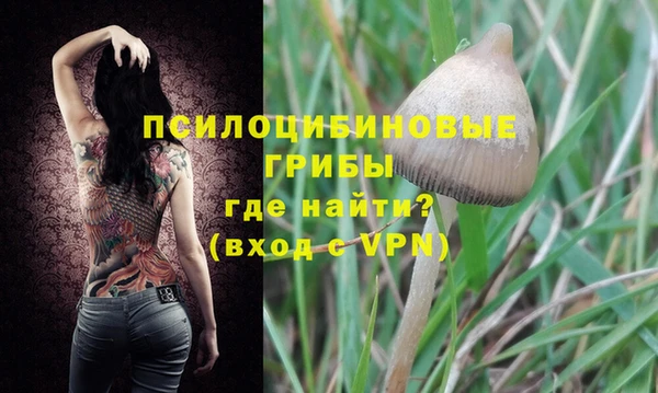 тгк Абдулино