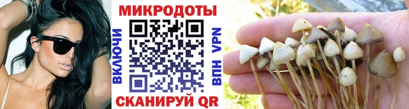 Галлюциногенные грибы GOLDEN TEACHER Азов
